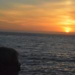 Cambria_0318 (November 02, 2013)